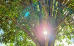 ご依頼・メール